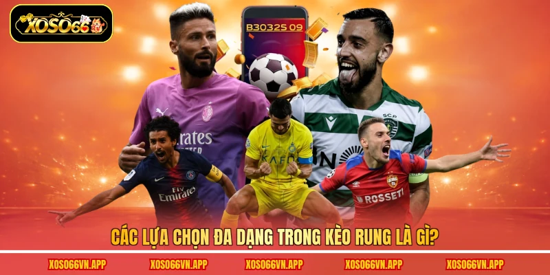 Các lựa chọn đa dạng trong kèo rung là gì? 