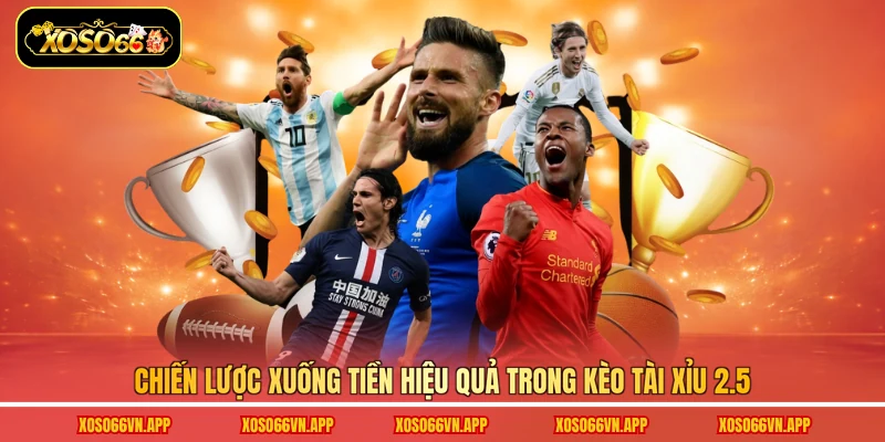Chiến lược xuống tiền hiệu quả trong kèo tài xỉu 2.5