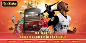 Kèo Tài Xỉu 2.5 - Cách Chơi Và Kinh Nghiệm Hiệu Quả Nhất