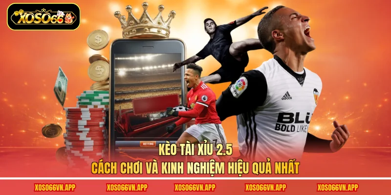 Kèo Tài Xỉu 2.5 - Cách Chơi Và Kinh Nghiệm Hiệu Quả Nhất