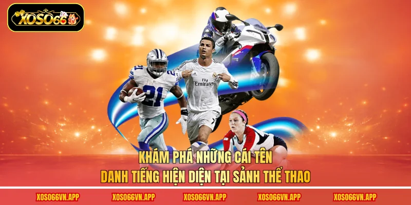Khám phá những cái tên danh tiếng hiện diện tại sảnh thể thao